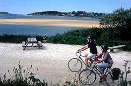Couple cycling along waterside